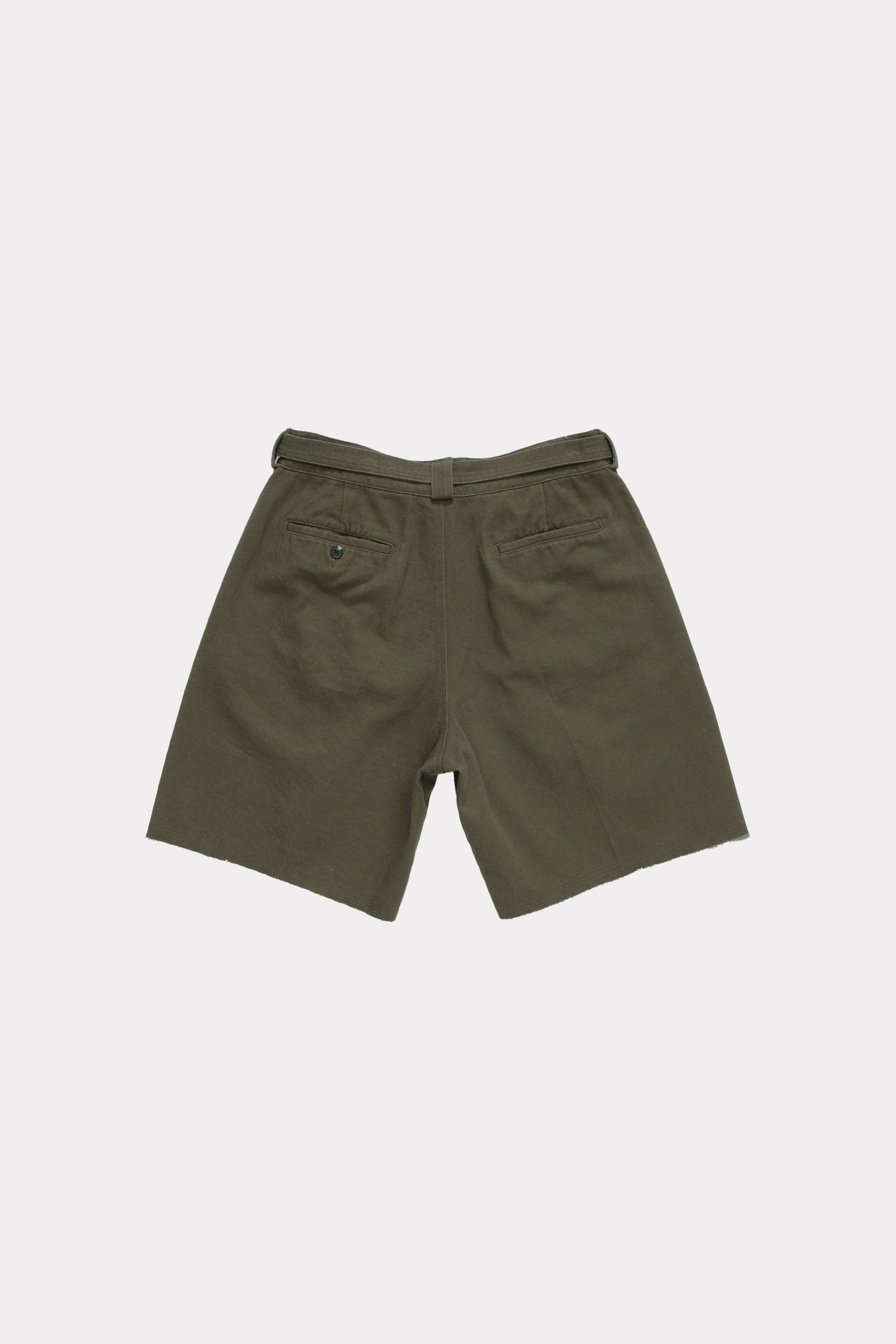 View of the back of a pair of Beach Brains Fatigue Daily Shorts on a white background