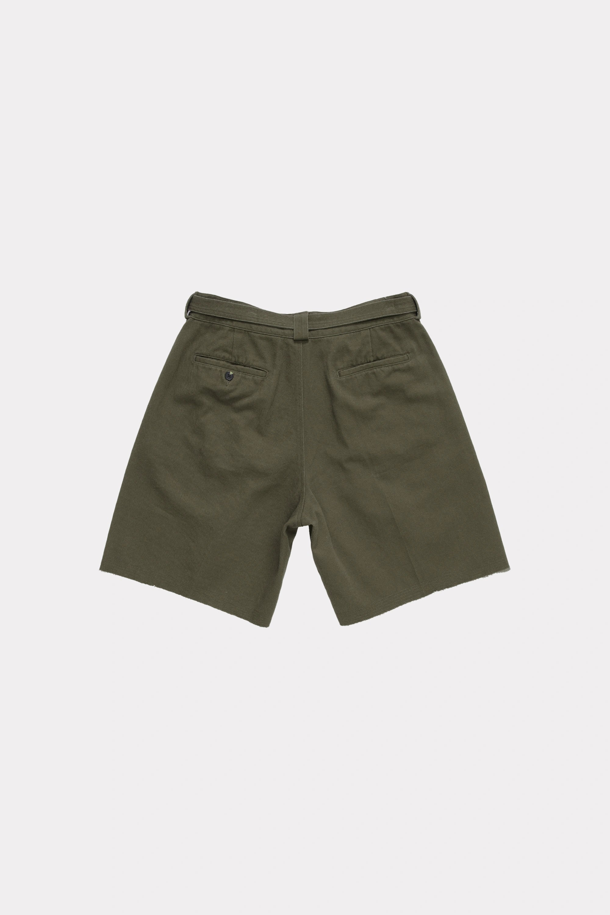 View of the back of a pair of Beach Brains Fatigue Daily Shorts on a white background